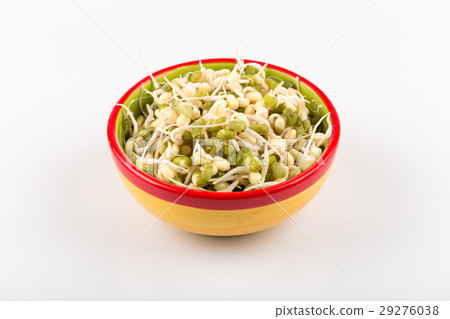 Pea seeds with sprouts close up Pea seeds with sprouts close up 29276038