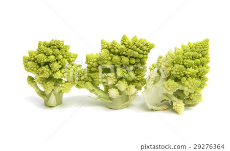 Romanesco broccoli cabbage isolated 29276364