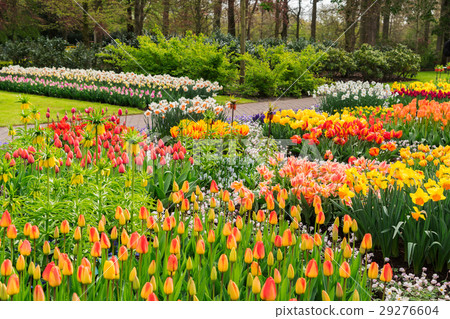 Formal spring garden 29276604