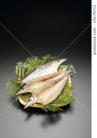 鉤針編織的丁字褲 29276701