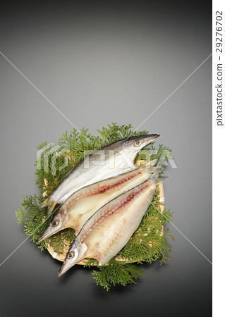 鉤針編織的丁字褲 29276702