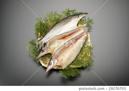 鉤針編織的丁字褲 鉤針編織的丁字褲 29276703