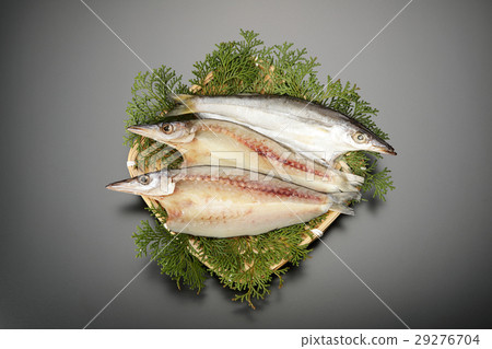 鉤針編織的丁字褲 29276704