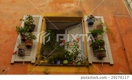 Flower pots white shutters. Nice. France Flower pots white shutters. Nice. France 29278117