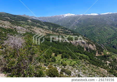 Sierra Nevada National Park, Spain. 29278556