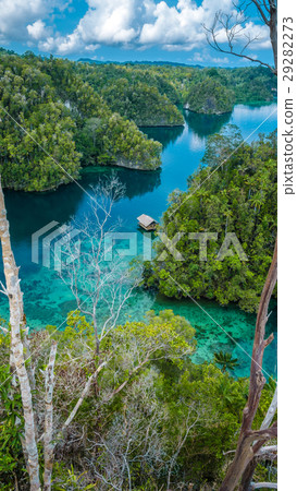 Bamboo Hut in middle of Mangrove near Warikaf Bamboo Hut in middle of Mangrove near Warikaf 29282273