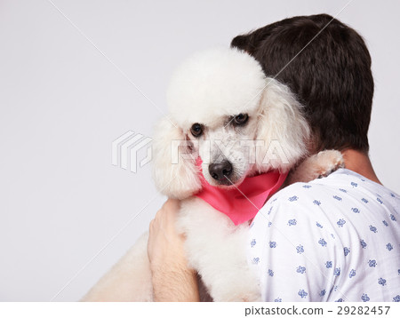 Man hug white poodle dog Man hug white poodle dog 29282457