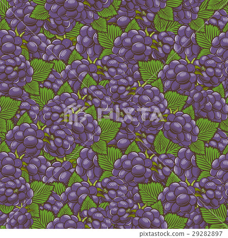 Vintage Blackberry Seamless Pattern 29282897