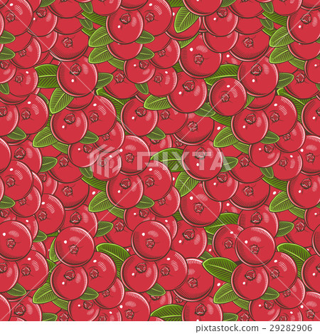 Vintage Cranberry Seamless Pattern Vintage Cranberry Seamless Pattern 29282906