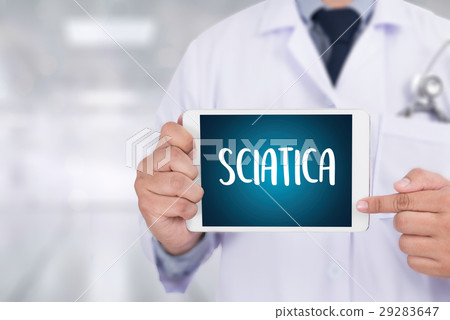 Sciatica doctor hand working Professional Medical Sciatica doctor hand working Professional Medical 29283647