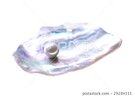 貝殼貝殼珍珠 貝殼貝殼珍珠 29284315