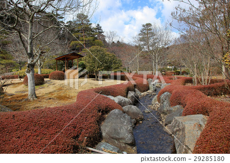 Pleasure noon 29285180