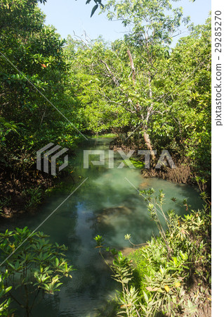 forest and a river landscape at Thapom, Klong Song 29285270