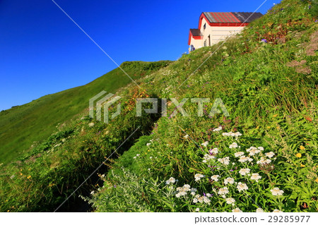 Morning Iidecho Ridge · Inari Hut and Alpine Plant 29285977