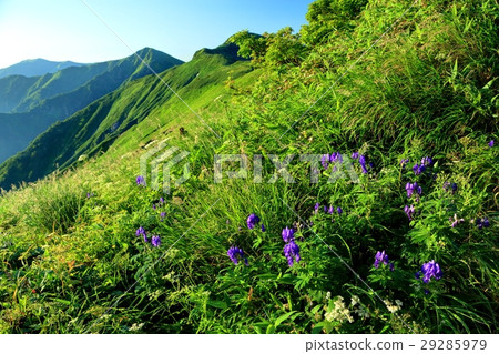 在小屋內的門附近的Torikabuto花和Iido Motoyama方向的看法 29285979