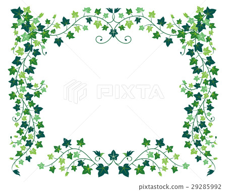 Ivy's frame - Stock Illustration [29285992] - PIXTA