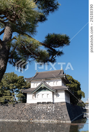 Edogi Tsubaki 29288390