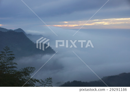 山景 29291186
