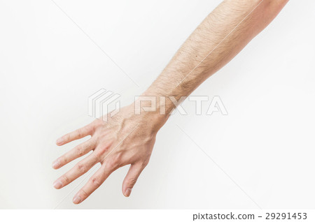 Hairy arm Hairy arm 29291453