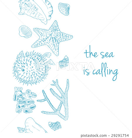 Sea is calling. Marine postcard with seashells Sea is calling. Marine postcard with seashells 29291754