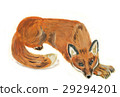 Fox 29294201