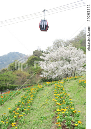 Kobe River Herb Garden ~ Hill of the Wind Spring of the Flower Garden ~ Kobe River Herb Garden ~ Hill of the Wind Spring of the Flower Garden ~ 29295321