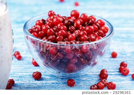 Cranberries in a bowl Cranberries in a bowl 29296161
