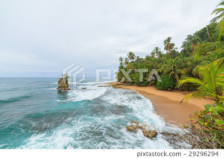 Idyllic beach Manzanillo Costa Rica 29296294