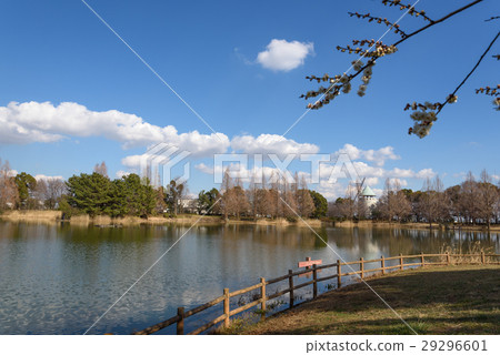 早春的松下綜合公園 早春的松下綜合公園 29296601