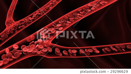 3d rendering red blood cells in vein 29296629