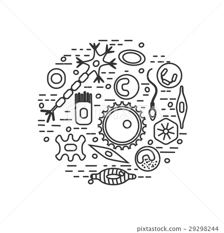 different human cell types 29298244