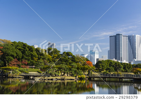 The Hamarikyu garden of autumn and the tower apartment of Toyohama The Hamarikyu garden of autumn and the tower apartment of Toyohama 29298379
