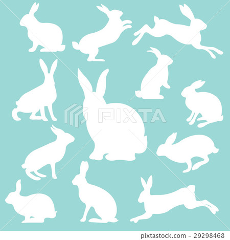 Rabbit Set 29298468