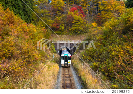 Autumn's Rukuishi Line Autumn's Rukuishi Line 29299275