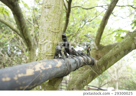 裝置藝術 29300025