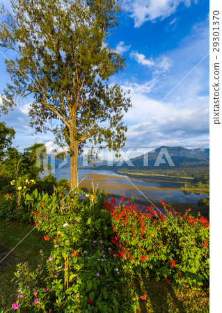 Lake Buyan - Bali Island Indonesia Lake Buyan - Bali Island Indonesia 29301370
