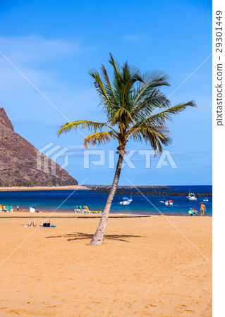 Beach Teresitas in Tenerife - Canary Islands Beach Teresitas in Tenerife - Canary Islands 29301449