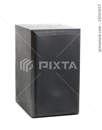 Hi-fi Speaker Isolated on White 29301657