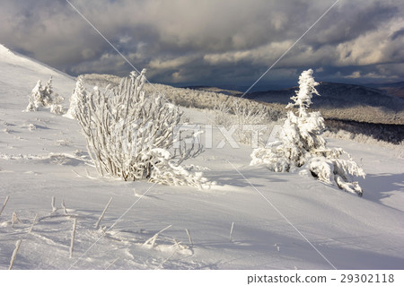Winter mountain scenery in Bieszczady mountains Winter mountain scenery in Bieszczady mountains 29302118