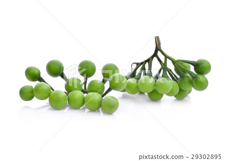 fresh turkey berry isolated on white background 29302895