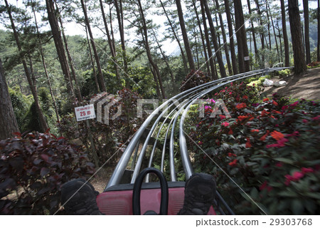 Rail downhill on a trolley to the Datanla waterfal 29303768