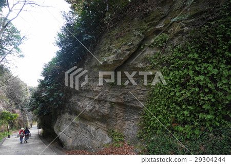 March Kamakura 70 Kamakura Nanba,Kamegaya Saka切 March Kamakura 70 Kamakura Nanba,Kamegaya Saka切 29304244