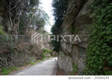 March Kamakura 71 Kamakura Naguchi·Kamegaya Saka切斷了 March Kamakura 71 Kamakura Naguchi·Kamegaya Saka切斷了 29304245