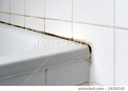 Mould in a bathroom 29308165