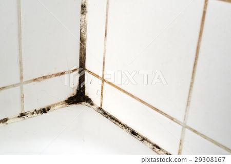 Mould in a bathroom 29308167