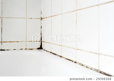 Mould in a bathroom 29308168