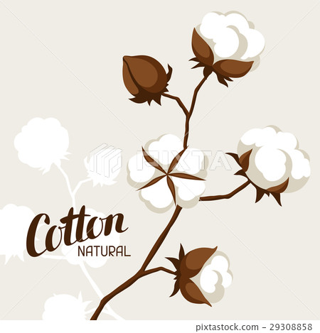 Background with cotton bolls and branches Background with cotton bolls and branches 29308858
