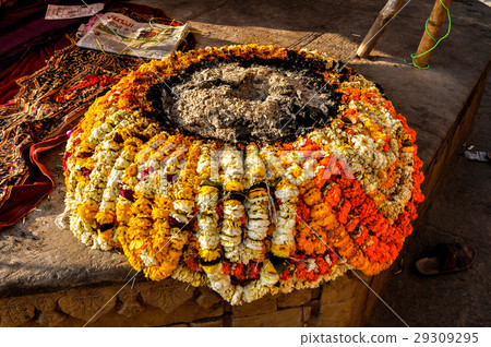 Varanasi Varanasi 29309295