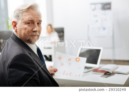 Pleasant aged executive working in the office Pleasant aged executive working in the office 29310249