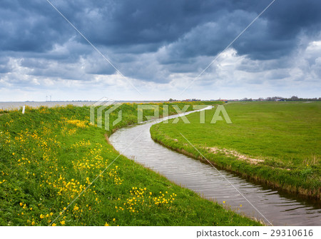Beautiful landscape with green grass field 29310616